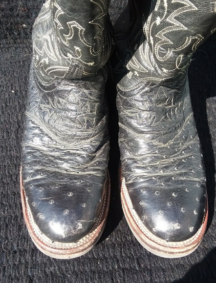 Lucchese 2000 Ostrich Women's Western Boots 9.5B - Picture 3 of 8